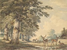 Deer under Beech Trees in Winter, 1853. Creator: Hendrik Gerrit ten Cate.