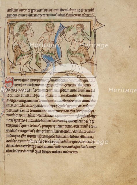 Sirens; Northumberland Bestiary, about 1250-1260. Creator: Unknown.