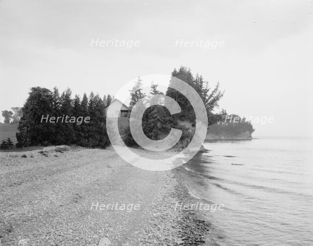 Lake shore at Melburne (i.e. Shelburne) Farms, Vt., between 1900 and 1906. Creator: Unknown.