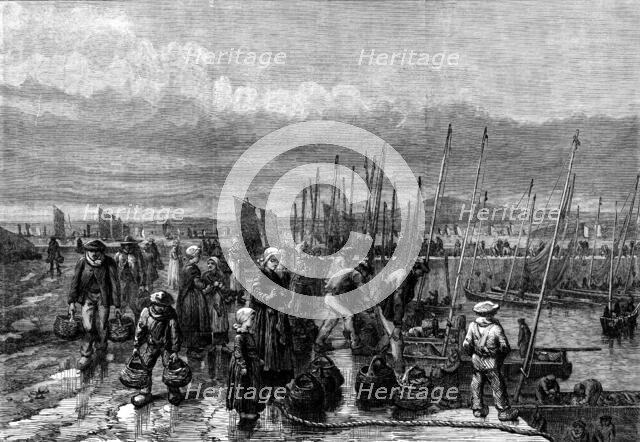 Sardine fishery on the coast of Brittany, 1871. Creator: Unknown.