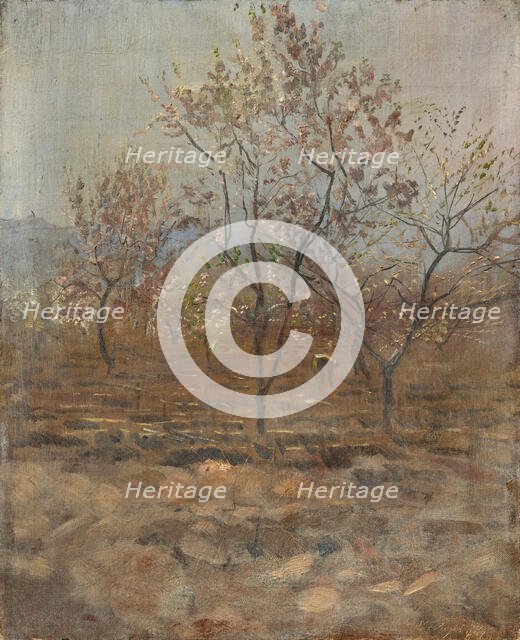 Trees in Blossom, 1890-1895. Creator: Ladislav Mednyanszky.