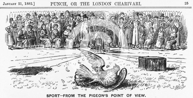 'Sport from the Pigeon's Point of View', 1882. Artist: Unknown