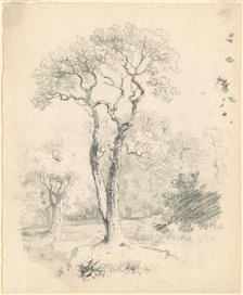 A Glade of Trees, c. 1835-1840. Creator: James Goodwyn Clonney.