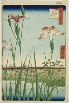 Irises at Horikiri (Horikiri no hanashobu), from the series "One Hundred Famous Views of..., 1857. Creator: Ando Hiroshige.