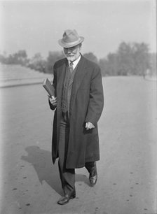 James R. Mann, Rep. from Illinois, 1913. Creator: Harris & Ewing.