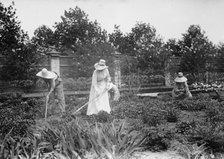 At work on Mrs. Belmont's Farm for girls, between c1910 and c1915. Creator: Bain News Service.