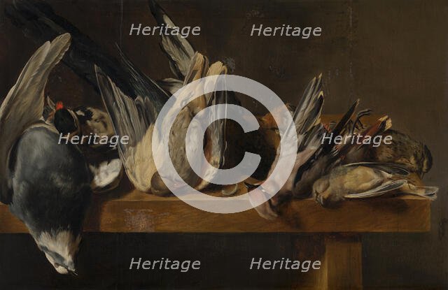 Dead Birds. Creator: Elias Vonck.