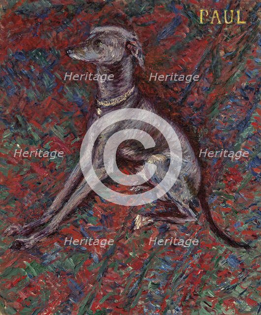 The dog "Paul", c1886. Creator: Caillebotte, Gustave (1848-1894).