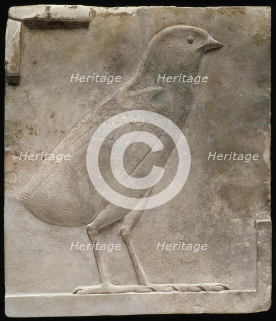 Plaque Depicting a Quail Chick, Egypt, Ptolemaic Period (332-30 BCE). Creator: Unknown.