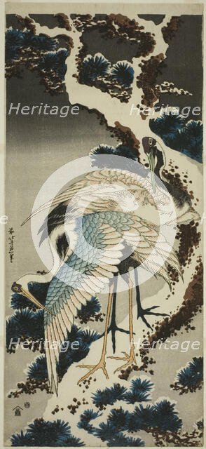 Cranes on snow-covered pine, Japan, c. 1834. Creator: Hokusai.
