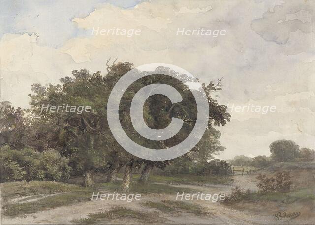 Landscape with trees, 1841-1890. Creator: Johannes Warnardus Bilders.
