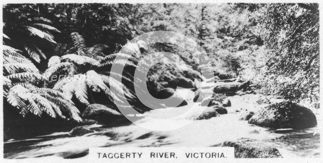 Taggerty River, Victoria, Australia, 1928. Artist: Unknown
