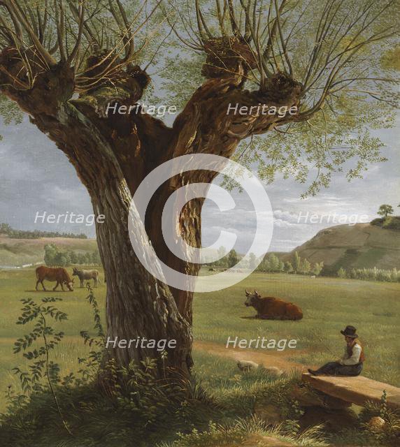 Pollard Willow, after 1804. Creator: Pierre Jean Boquet (French, 1751-1817).