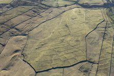 Grassington enclosures, North Yorkshire, 2024. Creator: Robyn Andrews.