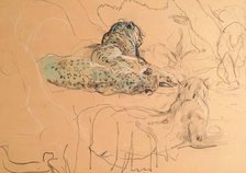 Leopard. Creator: John MacAllan Swan.