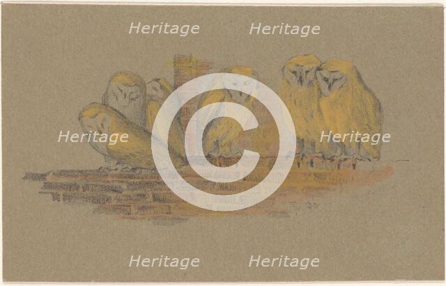 Greeting card with six owls, 1890. Creator: Theo van Hoytema.