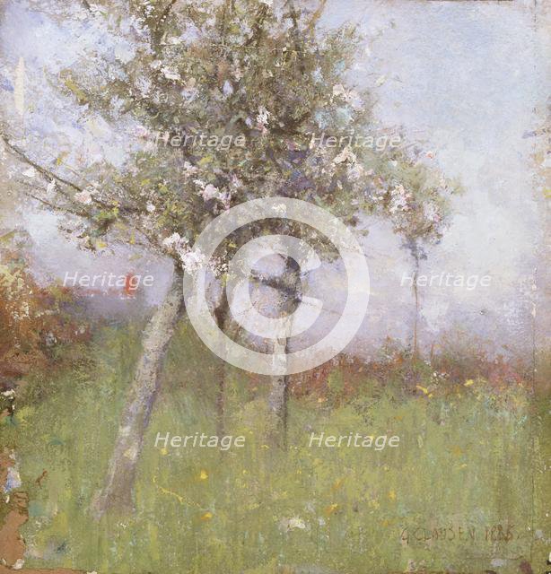 Apple blossom, 1885. Creator: George Clausen.