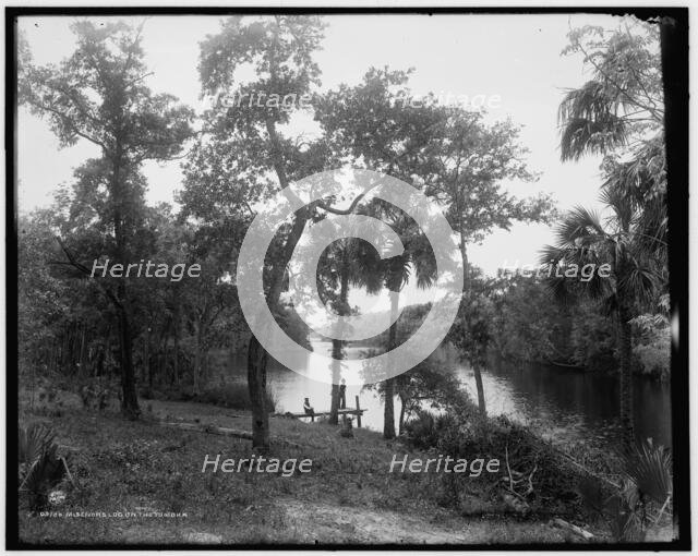 Misenor's Ldg. on the Tomoka, c1894. Creator: William H. Jackson.