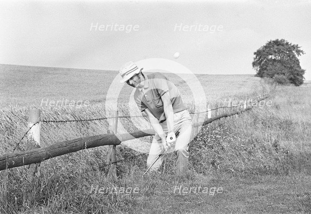 Golfer playing from a bad lie in deep rough, nearly out of bounds, Sweden, 1969. Artist: Unknown