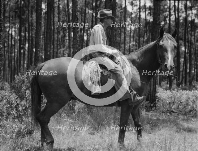 Overseer in the turpentine woods, Georgia, 1937. Creator: Dorothea Lange.
