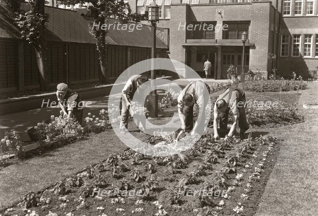 Gardeners planting a bedding display at the Rowntree factory, York, Yorkshire, 1955. Artist: Unknown