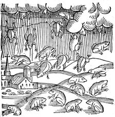 Rain of frogs recorded in 1355 (1557). Artist: Unknown