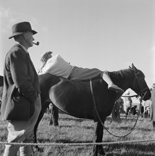 A pony on Exmoor, Somerset, c1946-c1959. Artist: John Gay
