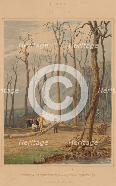 Spring--Burning Fallen Trees in a Girdled Clearing. Western Scene, 1841. Creator: William James Bennett.