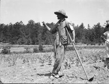 Alabama tenant farmer near Anniston, Alabama, 1936. Creator: Dorothea Lange.