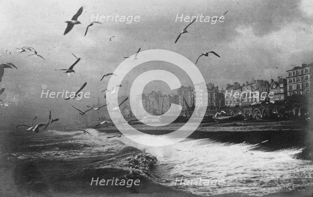 Gulls at Brighton, East Sussex, early 20th century. Artist: Unknown