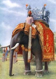 A majestic elephant at Bengal's chief festive gathering, India, 1922.Artist: L Barber