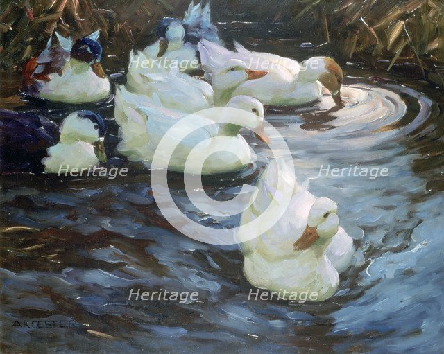 'Ducks on a Pond', c1884-1932. Artist: Alexander Koester
