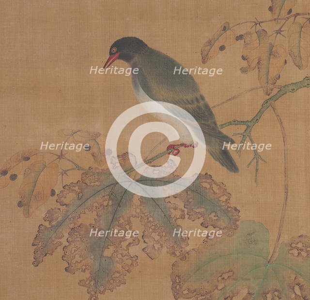 Bird on Branch. Creator: Unknown.