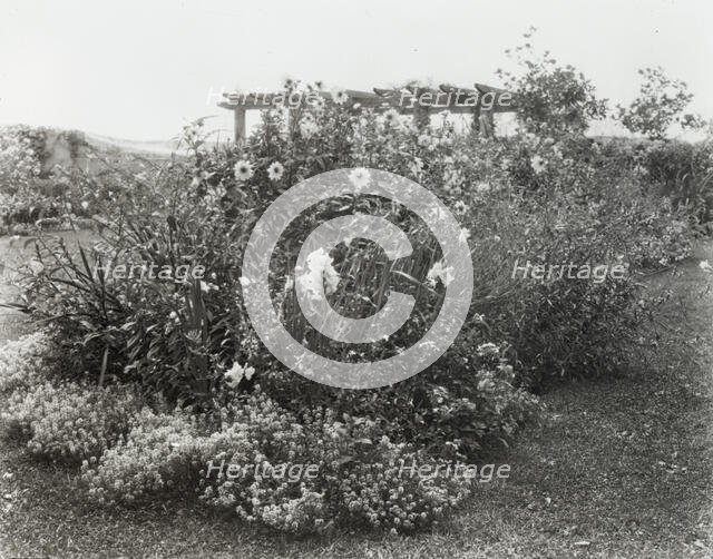 "Gray Gardens," Robert Carmer Hill house, Lily Pond Lane, East Hampton, New York, 1914. Creator: Frances Benjamin Johnston.