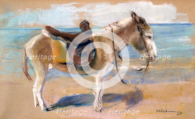 Donkey on the beach of Noordwijk, 1908. Creator: Liebermann, Max (1847-1935).