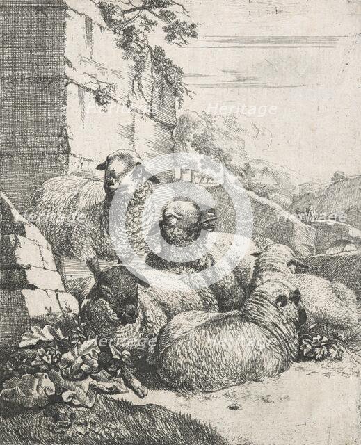 Sheep, goats and cows series: Four resting and one standing sheep, 1668-1670. Creator: Johann Heinrich Roos.