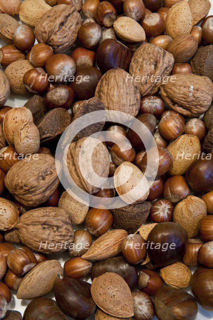 Selection of mixed nuts, 2009. Artist: Historic England Staff Photographer.