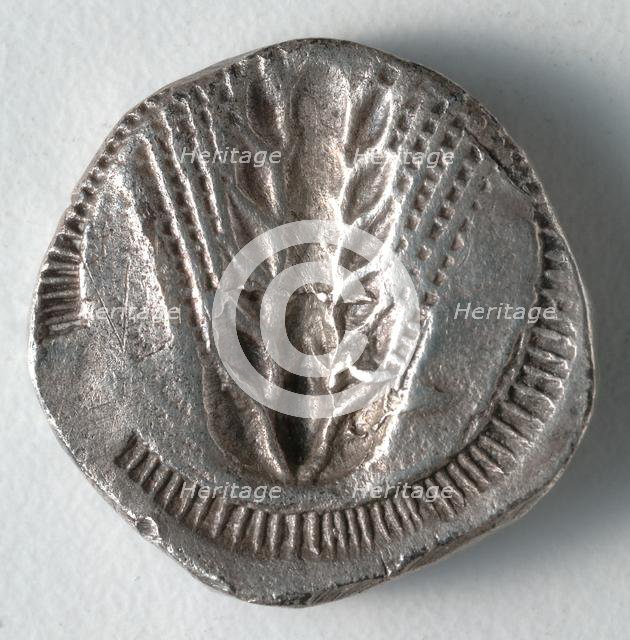 Stater: Ear of Corn incuse [stamped in] (reverse), 530-510 BC. Creator: Unknown.