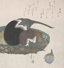 Eggplants in a Basket, 19th century. Creator: Totoya Hokkei.