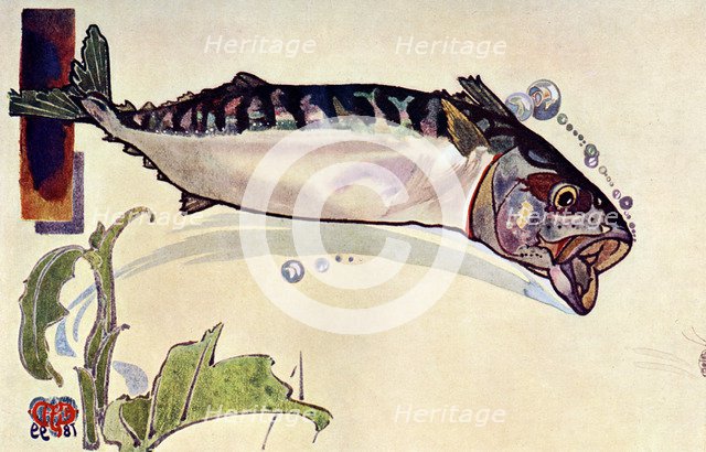 'Mackerel', 1900. Artist: Unknown