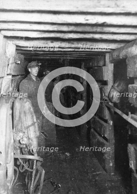 Horses at the slaughter, 1911. Creator: Kozlov.