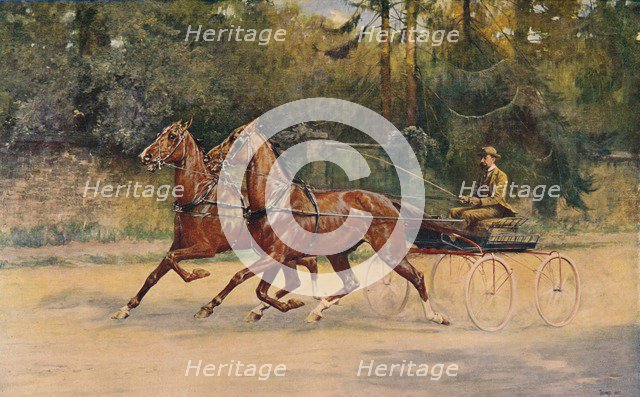 Trotting pair of Walter Winans, 1900 (c1910). Artist: Thomas Blinks.