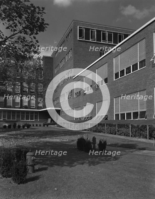 Becton Dickinson, East Rutherford, New Jersey, 1953. Creator: Gottscho-Schleisner, Inc.