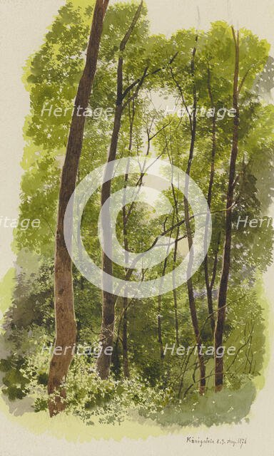 Forest near Konigstein, 1876. Creator: Carl Theodor Reiffenstein.