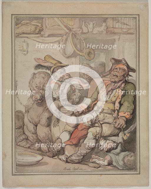 Comparative Anatomy Study, c. 1810-1820. Creator: Thomas Rowlandson (British, 1756-1827).