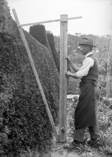 A gardener in the grounds of Great Dixter, East Sussex, c1919-c1933. Artist: Nathaniel Lloyd