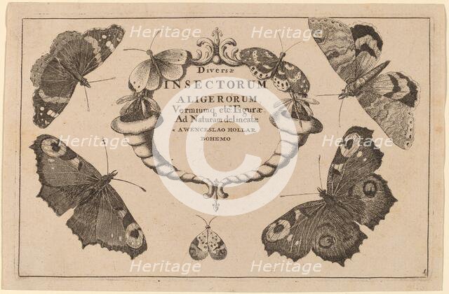 Title Page. Creator: Wenceslaus Hollar.