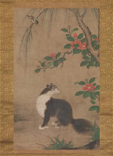 Musk Cat, second half of the 16th century. Creator: Uto Gyoshi.