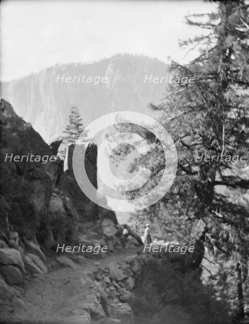 Travel views of Yosemite National Park, between 1903 and 1906. Creator: Arnold Genthe.