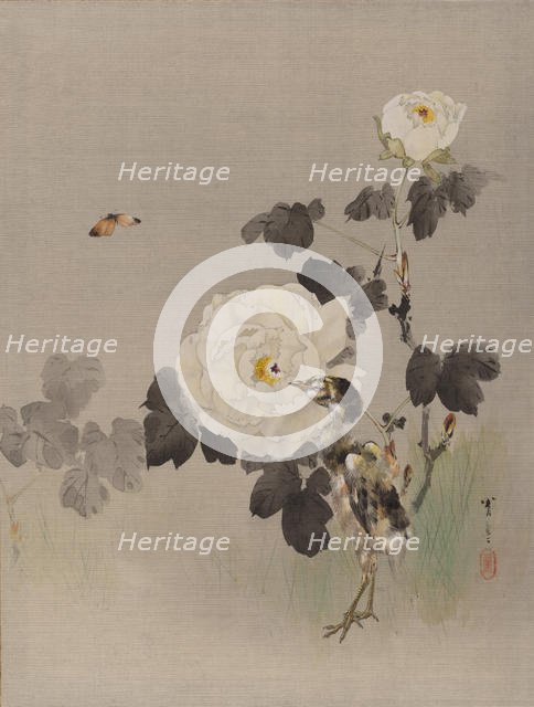 Roses, Young Bird and a Butterfly, ca. 1887. Creator: Watanabe Seitei.